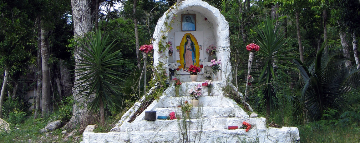 Yucatan News: Papayas and Yachts