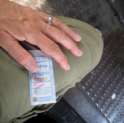 Photo by Ellen Fields <a href=></a>