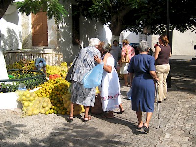 Photo by Ellen Fields <a href=></a>