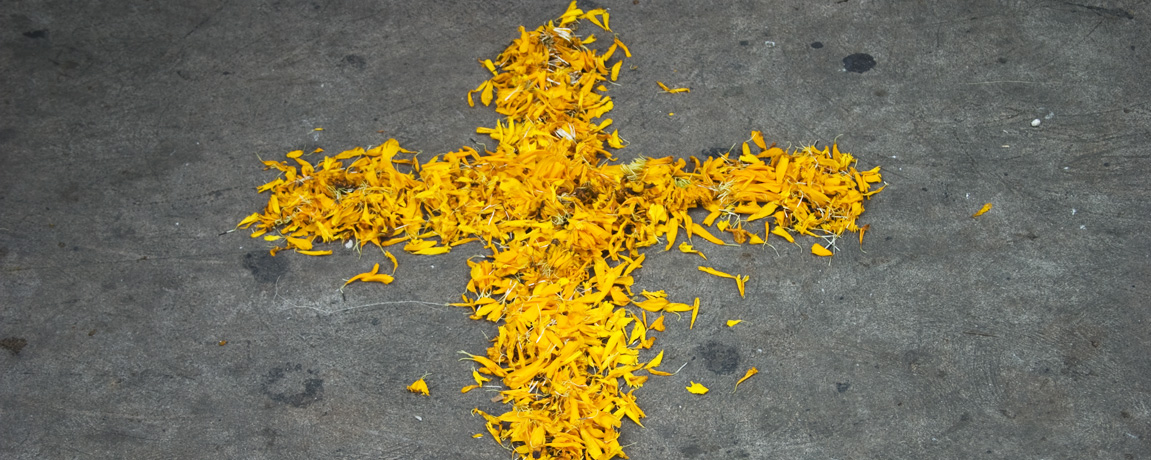 Merida Events: Showcase of Homes!