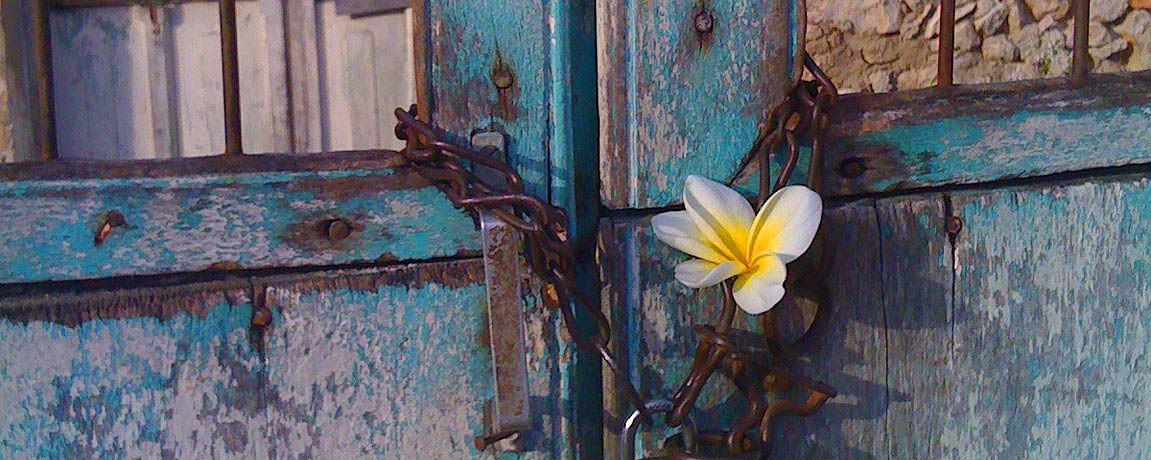 Merida Events: Valentine Week