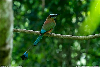 Photo by Iván Gabaldón