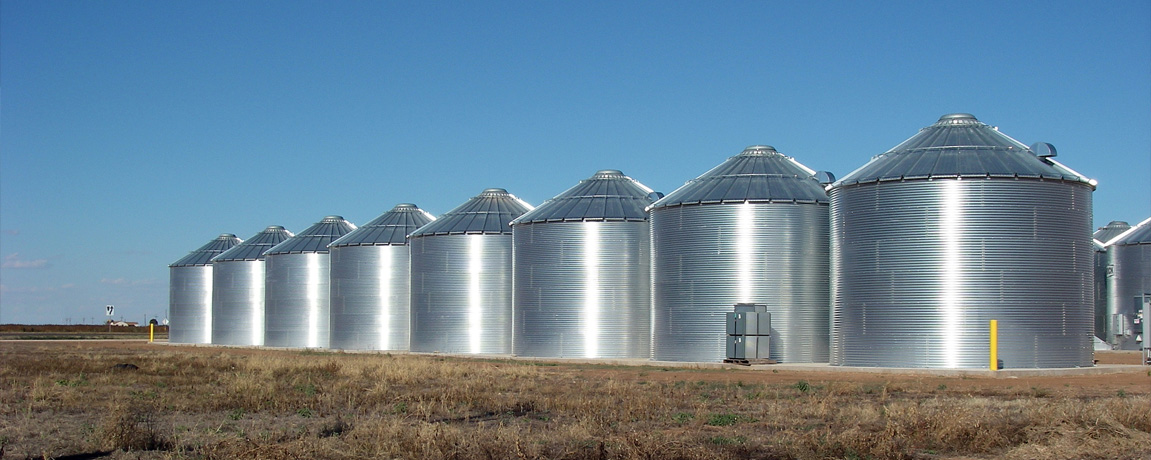 Wheat From Across the Sea