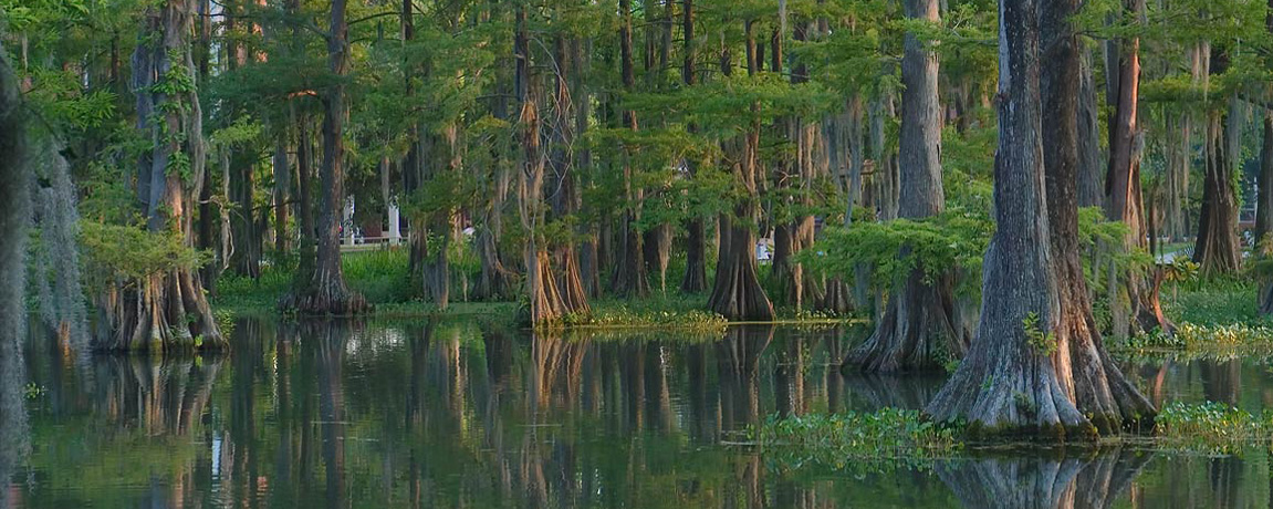 Khaki Scott, the Ultimate Yucatan Survivor