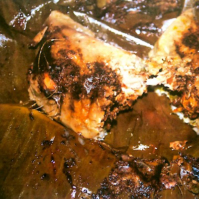 A Maya tamale stuffed with iguana meat, tomatoes and spices, and then wrapped in a banana leaf and cooked in an underground pib.