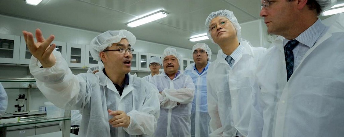 Yucatan News: Mosquito Sterilizing Bacteria