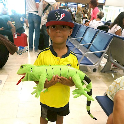 If children want a pet iguana, this boy from Houston has a suggestion!