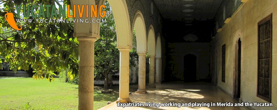 Yucatan Government Expat Survey