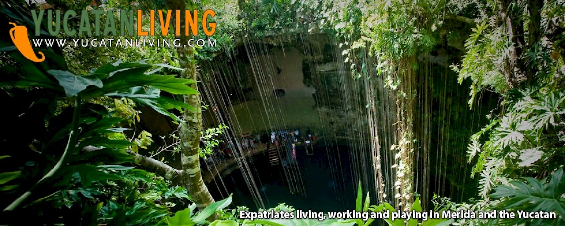 Red Bull Cenote Cliff Diving
