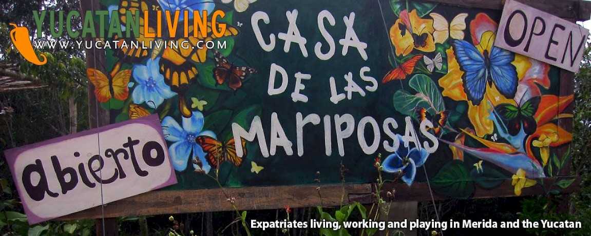 House of the Butterflies