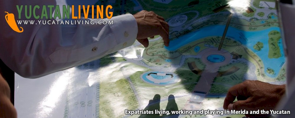 A Preview of Animaya