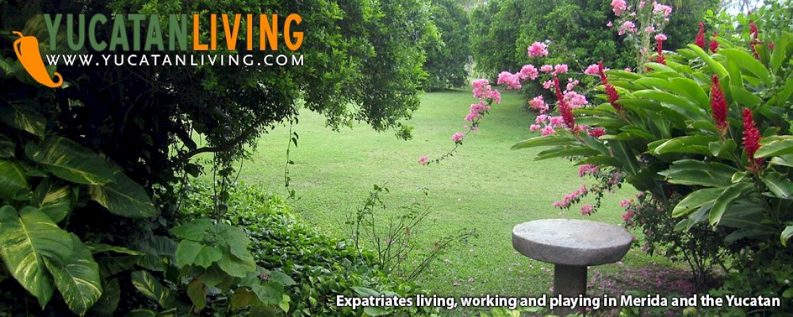 Yucatan Hacienda Chenche