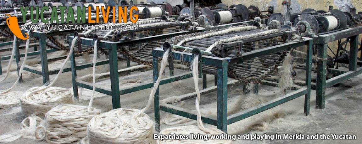 Yucatan Sisal in History