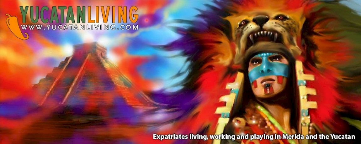 Ovi, artista freelance en Mérida