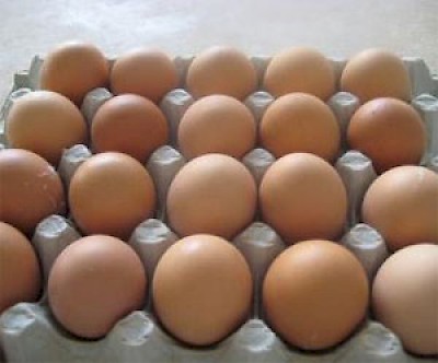 eggs