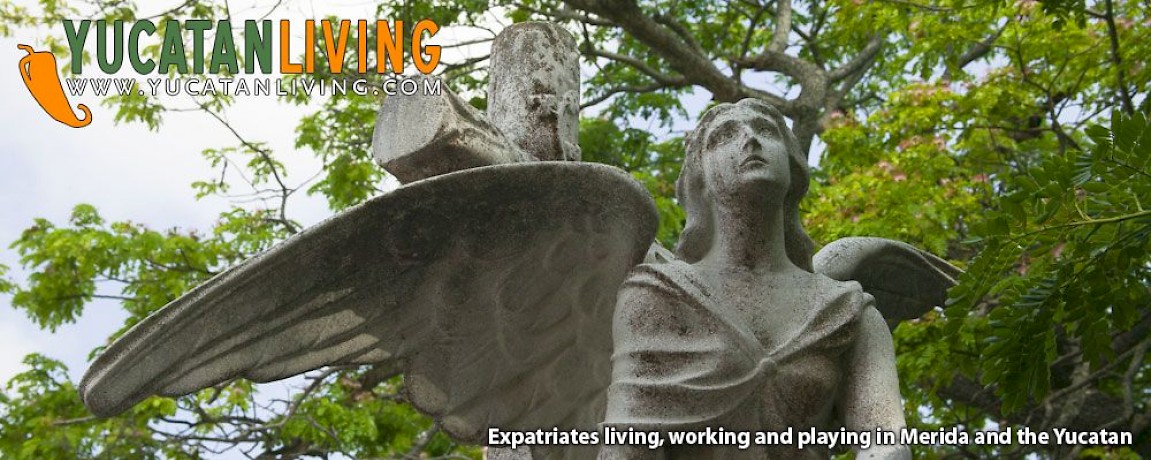 News: New Ayuntamiento