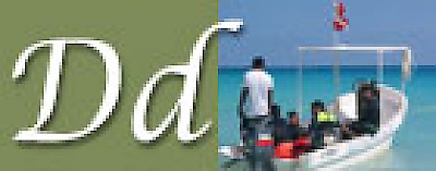 D is for Diving in Yucatan