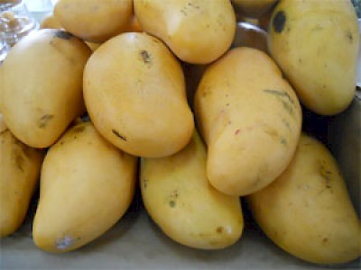 mangos