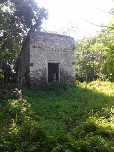 Old hacienda building on the property in Uayma
