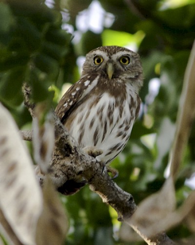 Photo by Alvaro Cervera