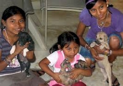 Adoptions in Yucatan Mexico
