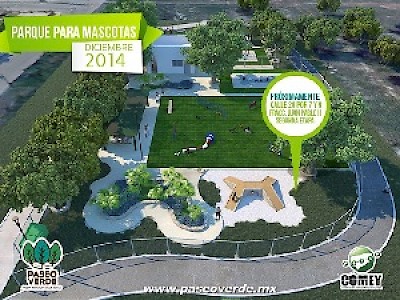 Dogs and Parks in Yucatan Mexico