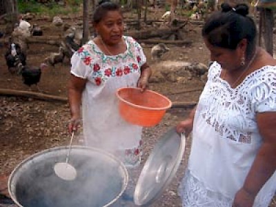 Turkeys in a Yucatan back yard