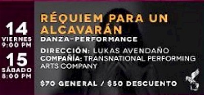 Contemporary Dance in Merida Yucatan Mexico