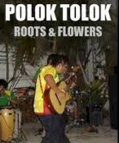 Alternative Music in Yucatan Mexico