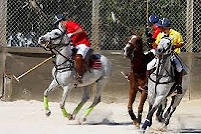 Polo Club in Yucatan Mexico
