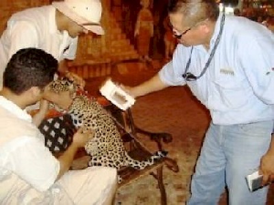 Playa del Carmen, Yucatan Mexico