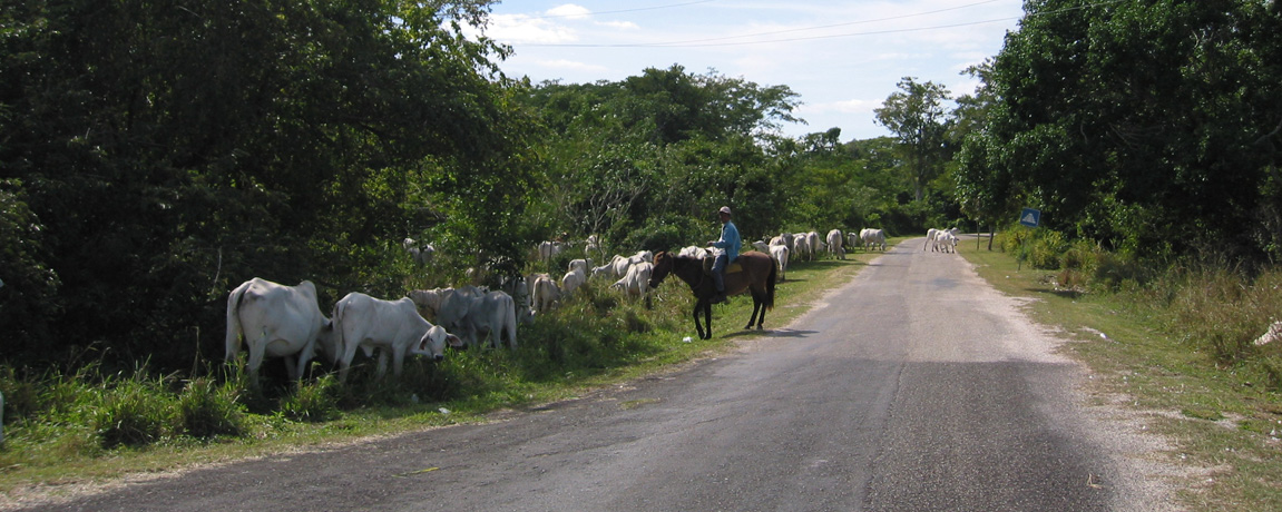 Merida Events: Music Festival 