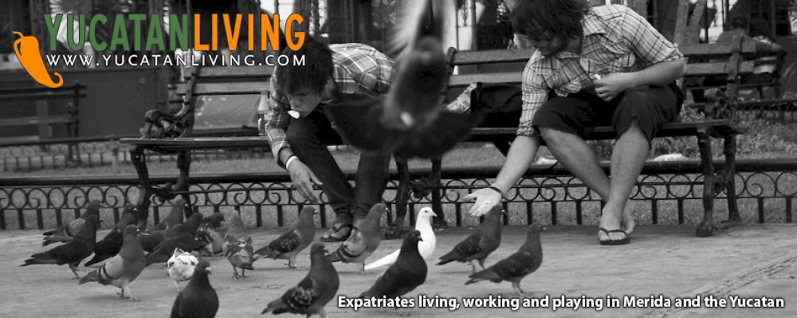 Yucatan Photographer