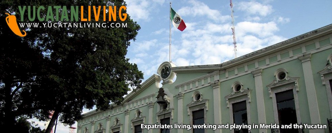 Restoration, Watermelons & More Trees