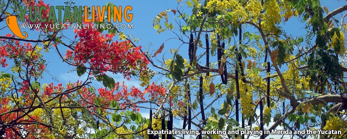 Reseña de Arte en Mérida