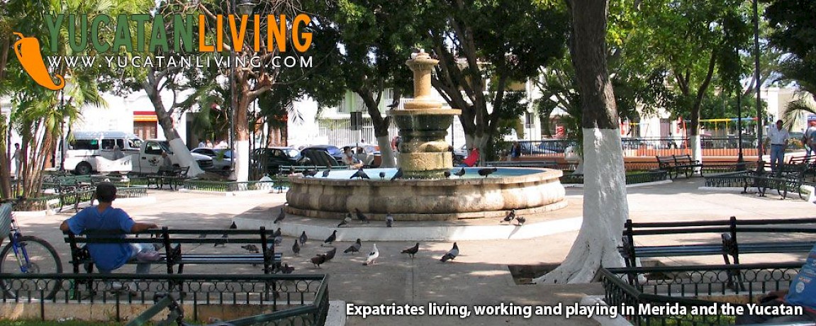 Houses of Merida - Episode Two